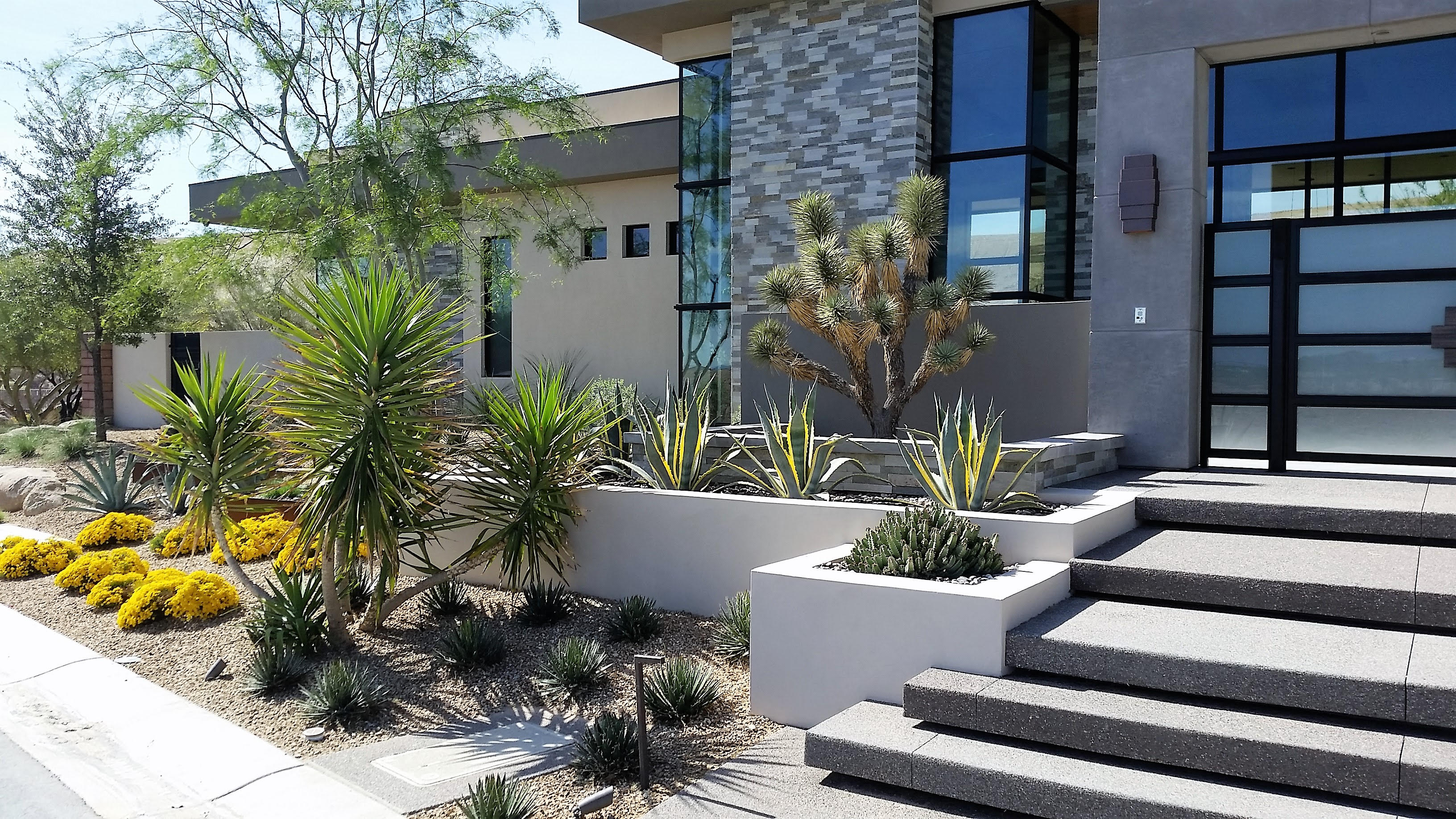 Landscape Architect for your home in Las Vegas