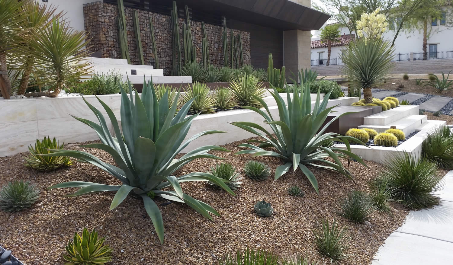 Las Vegas Landscape Architects, Landscaping Las Vegas Nevada
